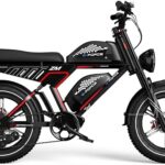 Dalwi ZM - Bicicleta eléctrica con motor de 750 W