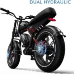 Dalwi ZM - Bicicleta eléctrica con motor de 750 W - Imagen 4